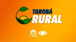 Tarobá Rural l 050323 [upl. by Fleeman]