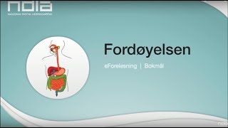 Fordøyelsen [upl. by Anauj]