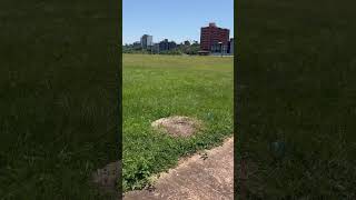 Fui Atacada no Paraguay shortsvideo humor paraguay paraguai [upl. by Adaven547]