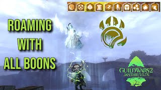 The new BEST Roaming Build In GW2  Condition Boon Soulbeast Roaming Build Guide [upl. by Kasper]