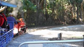 Currumbin wildlife sanctuary steam train [upl. by Nwahsram]