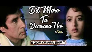 Dil Mere Tu Deewana Hai · [upl. by Trey]