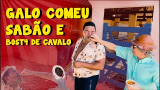 GALO COMEU GELEIA FAKE [upl. by Cyler491]