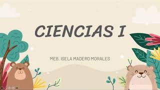 DINÁMICA DE LOS ECOSISTEMAS CADENAS Y REDES TRÓFICAS [upl. by Creamer]