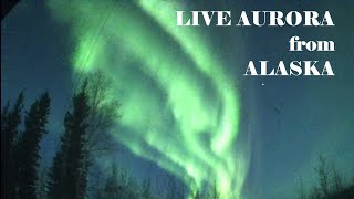 LIVE Alaska Aurora Live Stream Sep Oct 1920 2024 [upl. by Hilleary475]