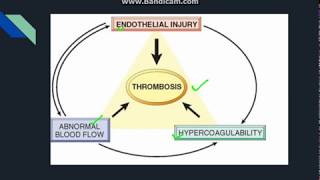 Thrombosis [upl. by Cindi]