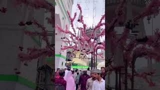 Ajmer sharif dargah  eid milad un nadi status ajmer decoration dargah  ajmer [upl. by Weinreb]