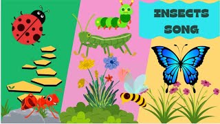 Insects song for kids  Toddler Rhymes  Bugs song  Educational songs  butterfly ladybug bumblebee [upl. by Salvucci]