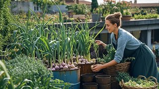 TOP 30 Methods propagating purple onions on the balcony for beginners [upl. by Aneladgam]