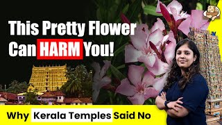 Kerala Temple Ban The Beautiful But DEADLY Flower  SleepyClasses [upl. by Filide]