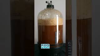 Beer Fermentation Timelapse yeast gone wild [upl. by Assylla]