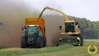 Grünroggenhäckseln 2016 mit einem Krone BIG X 650 [upl. by Lari]