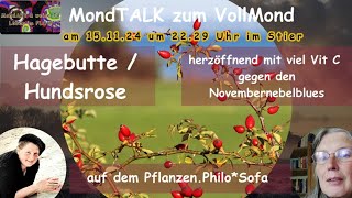 MondTalk zum Vollmond  Im Gespräch mit Nana Mara auf dem PflanzenPhiloSofa  Hagebutte Hundsrose [upl. by Iror]