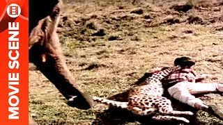 Elephant Saves rajus Life from leopard  Haathi Mere Saathi [upl. by Akela]