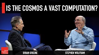 Is the Cosmos a Vast Computation [upl. by Liv]