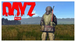 EINE SOLOGESCHICHTE  DAYZ  PC GAMEPLAY  DEUTSCH  LIVE [upl. by Lalitta]