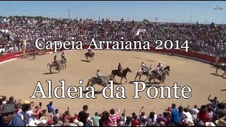 Capeia Arraiana 2014  Aldeia da Ponte  Forcão  cogida [upl. by Aitnwahs]