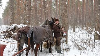 Spotkałem Myśliwych  odcinek 382 Saniami na polowanie [upl. by Eirovi]