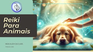 Live de Reiki para Pets Alívio e BemEstar [upl. by Schilit644]