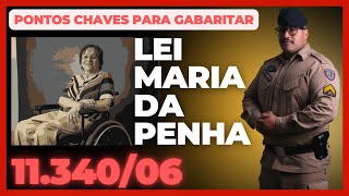 Lei 1134006  Maria da Penha Pontos chaves para gabaritar [upl. by Aliab808]