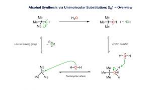 Alcohol synthesis via the SN1 pathway [upl. by Cirderf885]