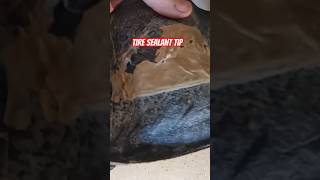 Tire Sealant Tip tiresealant stans rideyourbike mtbtires tubelesstyre tubeless mtb shorts [upl. by Aleahcim]