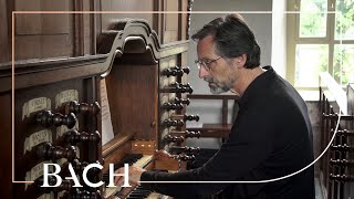 Bach  Pastorella in F major BWV 590  Smits  Netherlands Bach Society [upl. by Dnalsor]