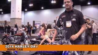 2014 Harley Davidson FXSBSE CVO Softail Breakout Screamin Eagle Motorcycles Models review [upl. by Mulloy258]