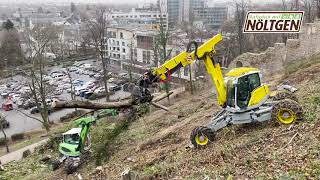 Menzi Muck Flächenrodung Siegburg [upl. by Siravart]