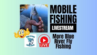 More Blue River Fly Fishing mobile fishing livestream [upl. by Cogen]