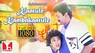 Kaatule Kambakaatule  ILAIYARAJA SONGS  Rajakumaran  Full HD  PrabhuMeenaNadhiya [upl. by Gnouhc819]