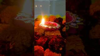 Easy flower rangoli for diwali😍😍 craftyvidhi00 art shortvideos trending diwali rangoli like [upl. by Ellingston]