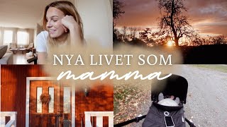 LIVET SOM UNG MAMMA👶🏼🍼  börja julpynta🎄🎁 nyfödd med magknip amp mina bästa spartips 🤎🍂 [upl. by Nennek119]