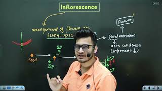 L4 Cymose amp Racemose Inflorescence  Morphology in Flowering Plants  11th Class Biology ft Vipin [upl. by Odnavres]