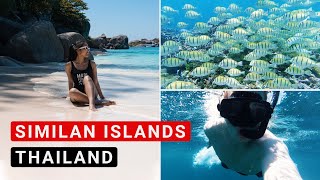 Similan Islands Tour Ausflug in das Inselparadies Thailands  Lohnt es sich [upl. by Ikeda]