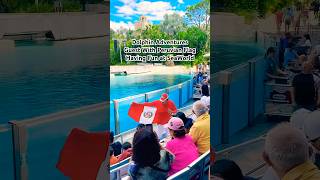 Having Fun at Dolphin Adventures Pre Show SeaWorld Orlando Peruvian Flag themeparkmaddy [upl. by Kozloski565]