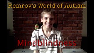 Autism and Mindblindness  Remrovs World of Autism 24 [upl. by Ellivnarg]