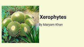 Xerophytes [upl. by Jehiel]