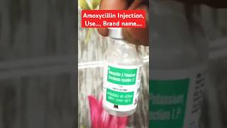 Amoxicillin InjectionUseBrand name shortsfeed youtubeshorts rameshchc injection ytshots [upl. by Anwat]