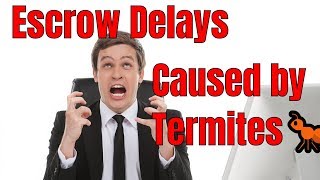 How to Avoid Escrow Delays 😧 Caused by Termites [upl. by Arrotal7]