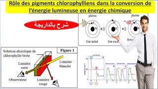 Rôle des pigments chlorophylliens dans la conversion de lénergie lumineuse شرح بالداريجة [upl. by Nilam]