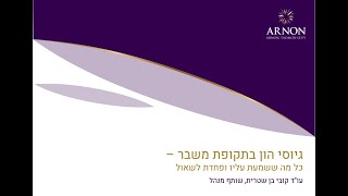 וובינר השקעות הייטק בתקופת משבר [upl. by Maidy]