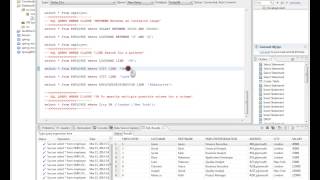 SQL QUERY WHERE LIKE DEMO [upl. by Ledairam753]