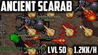 MS 50 ANCIENT SCARAB  12KKH 225  BEST places to hunt for MAGES [upl. by Eijneb]