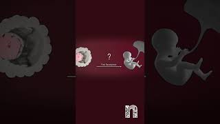 IVF has no detrimental effect on the genome of fetal and placenta lineages  Medical Animation [upl. by Danziger]