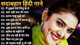 Sadabhar songs ❤️ Hindi Songs 💕 udit narayan songs  90s Music Diaries  90sMusicDiaries [upl. by Aelc183]