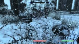 Where to find Snowberries  Skyrim [upl. by Naik]