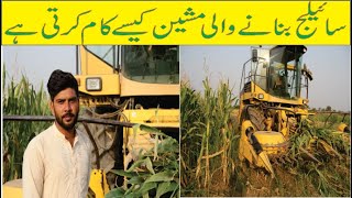 Silage Making2022 in Pakistan complete procedure silage Bnane ka tarika in urdu and hindi [upl. by Nnylirak]