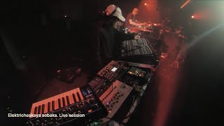 Elektricheskaya Sobaka Live [upl. by Byers]