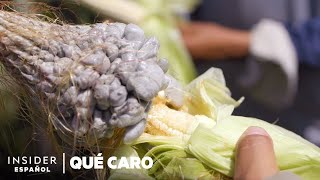 ¿Por qué es tan caro el huitlacoche o carbón del maíz  Qué caro [upl. by Rebeh]